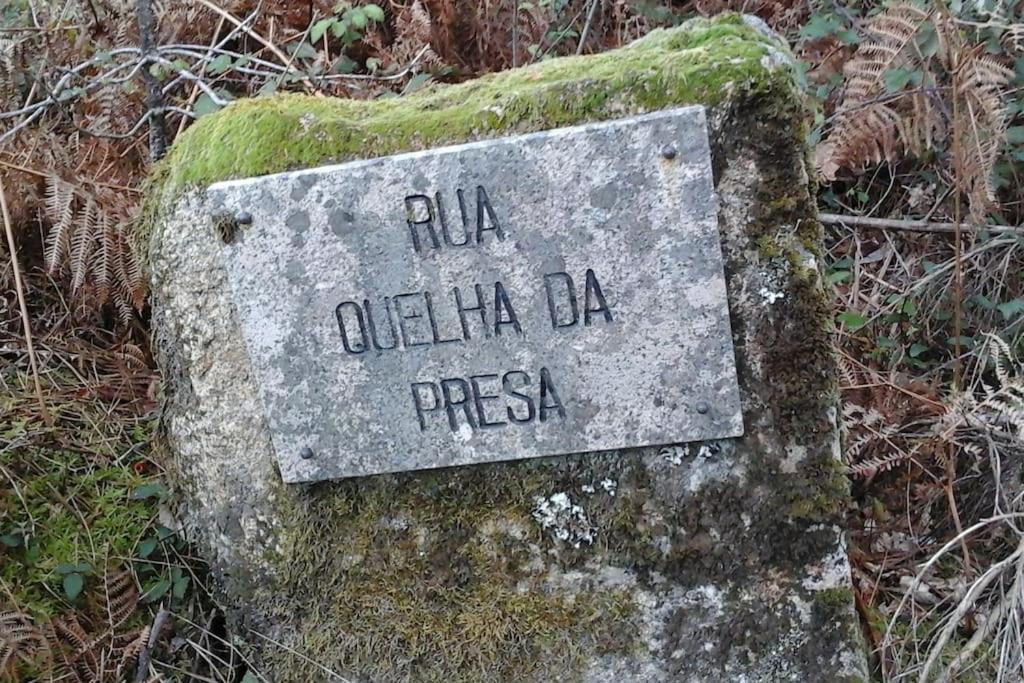 Вилла Casa Quelha Da Presa Espinho  Экстерьер фото